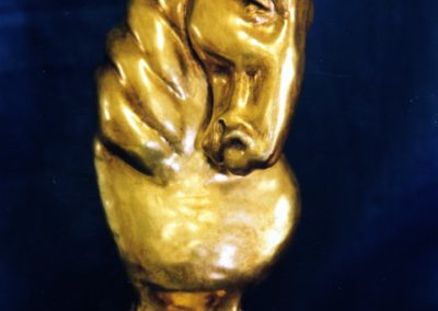 Cavallo degli scacchi.