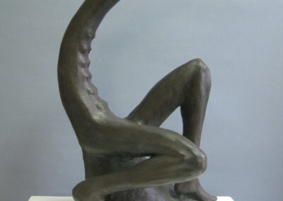 Belone sapiens 2