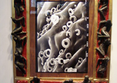 Reliquia entomologica